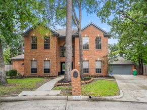 16250 Morningbrook Drive, Spring TX 77379