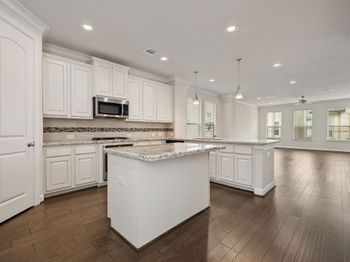 10007 Spring Shadows Park Circle