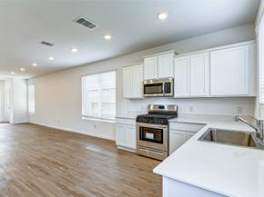 20913 Cropani Shadow Drive, New Caney TX 77357