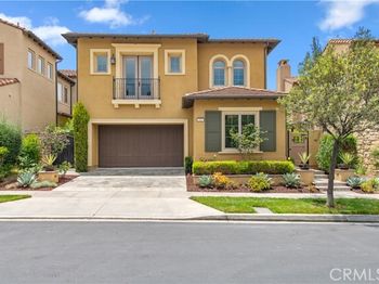 114 Bridle