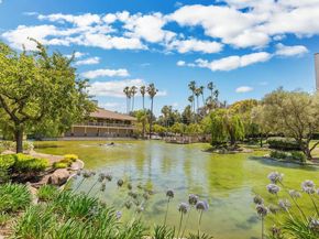 300 N Civic Dr 403, Walnut Creek CA 94596