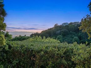 21 Live Oak Rd, Berkeley CA 94705