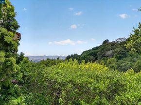 21 Live Oak Rd, Berkeley CA 94705