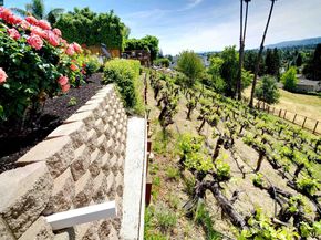 385 Paraiso Drive, Danville CA 94526