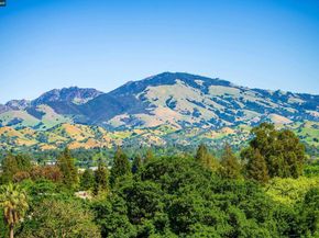 11 Dale Court, Lafayette CA 94595