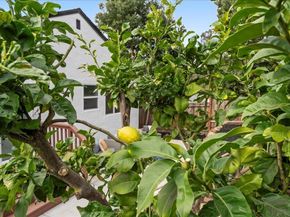 6032 Mauritania Ave, Oakland CA 94605