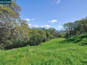 539 High Eagle Ct, Walnut Creek CA 94595