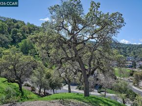 539 High Eagle Ct, Walnut Creek CA 94595