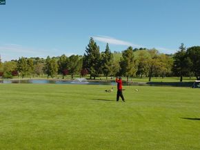 2425 Pine Knoll Dr 1, Walnut Creek CA 94595