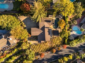 13 Kemp Ct, Alamo CA 94507