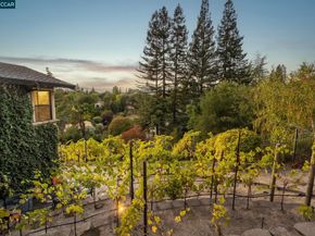 13 Kemp Ct, Alamo CA 94507