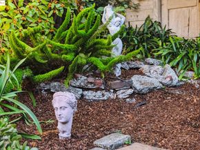 2636 Alcatraz Ave, Berkeley CA 94705