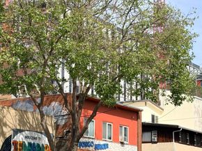2509 Dwight Way, Berkeley CA 94704