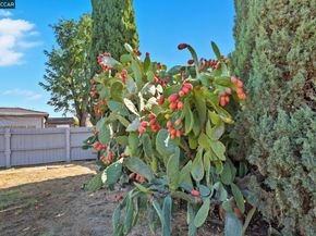 4108 Irene Dr, Martinez CA 94553