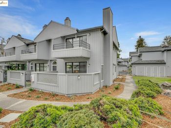 223 Sunspring CT