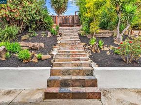 655 Tamarack Dr, Union City CA 94587