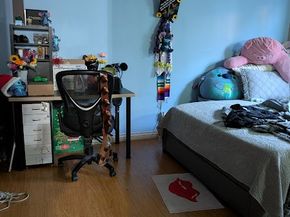13107 Del Sur, San Fernando CA 91340