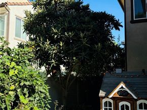 6641 Eucalyptus Ave, Chino CA 91710