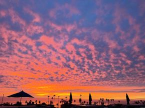 1125 S Cleveland Street 103, Oceanside CA 92054