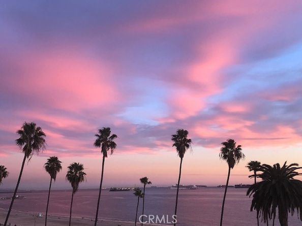 2601 E Ocean 205, Long Beach CA 90803