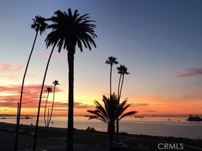 2601 E Ocean 205, Long Beach CA 90803