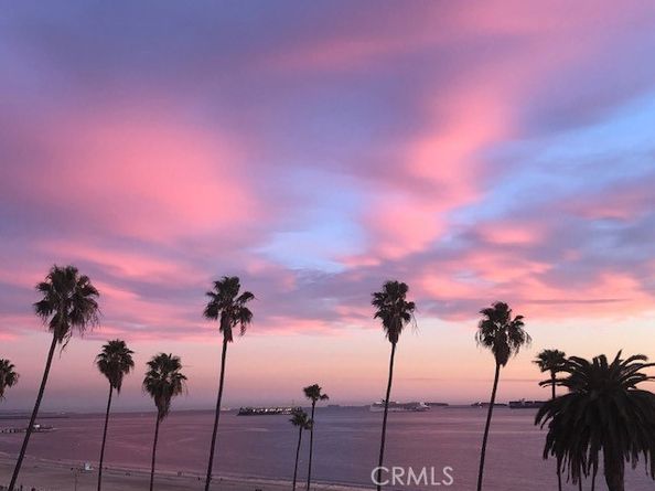 2601 E Ocean 205, Long Beach CA 90803