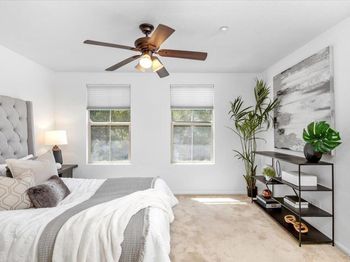 2507 Escala Cir