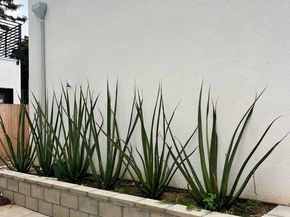 3653 Wilson Ave, San Diego CA 92104