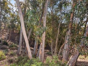 10981 Chardonnay Pl, San Diego CA 92131