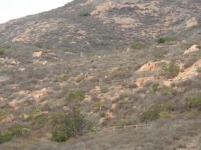 6990 Caminito Perico, San Diego CA 92119