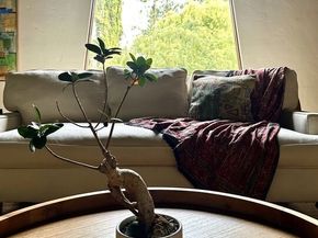 1441 Andenes Drive, Glendale CA 91208