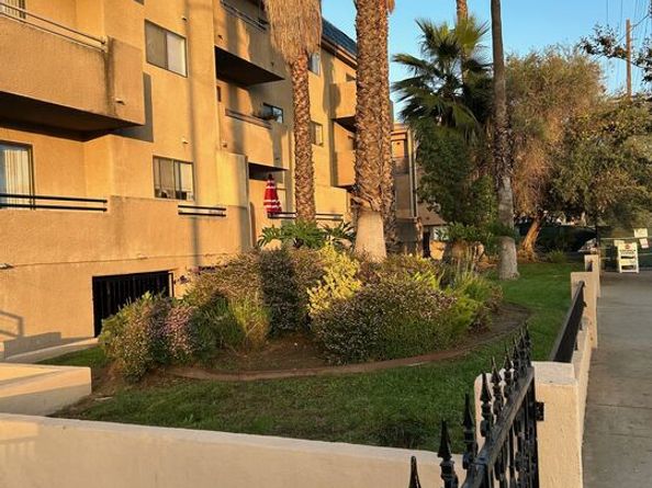 10901 Laurel Canyon Boulevard 101, San Fernando CA 91340