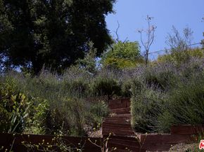 9843 Yoakum Drive, Beverly Hills CA 90210