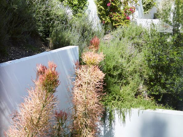 9843 Yoakum Drive, Beverly Hills CA 90210