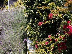 9843 Yoakum Drive, Beverly Hills CA 90210