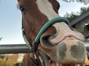 5782 Calpine Drive, Malibu CA 90265