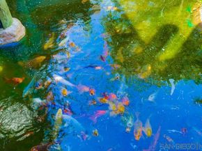 999 N Pacific St G321, Oceanside CA 92054