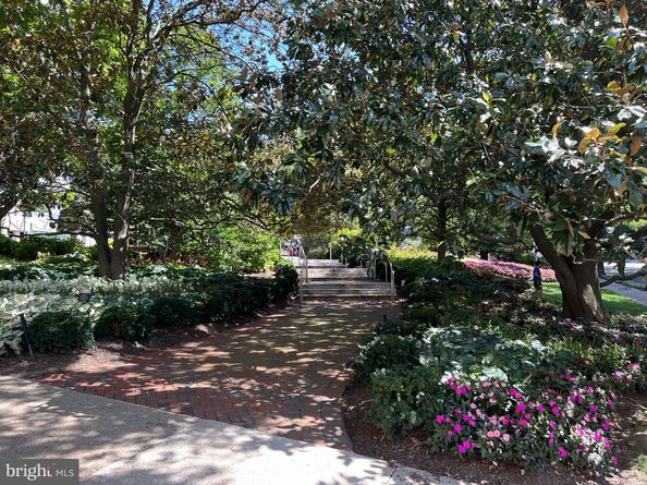 4515 Willard Avenue 503, Chevy Chase MD 20815