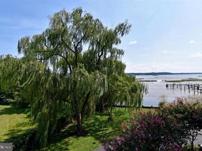 1250 S Washington Street S 614, Alexandria VA 22314