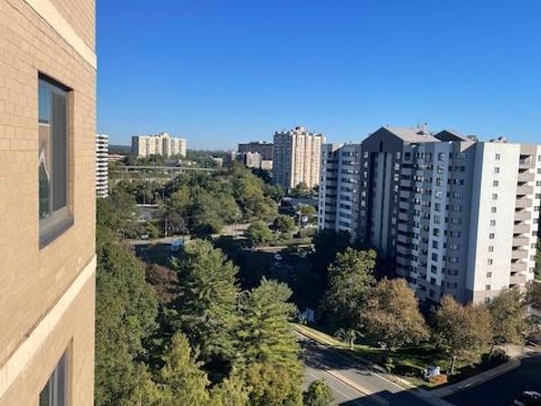 203 Yoakum Parkway 1512, Alexandria VA 22304