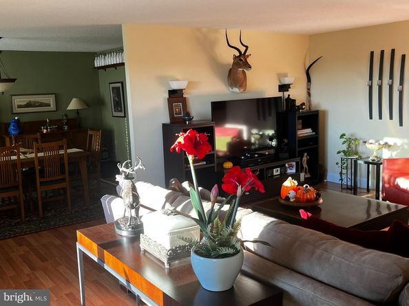 203 Yoakum Parkway 1512, Alexandria VA 22304