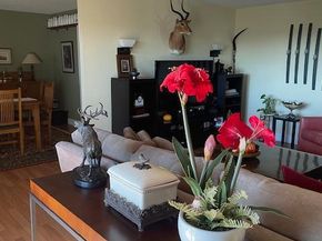 203 Yoakum Parkway 1512, Alexandria VA 22304