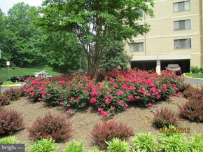 203 Yoakum Parkway 1512, Alexandria VA 22304