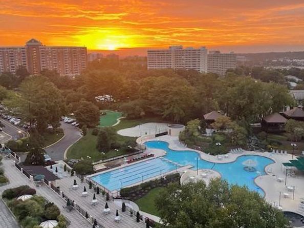 203 Yoakum Parkway 1512, Alexandria VA 22304