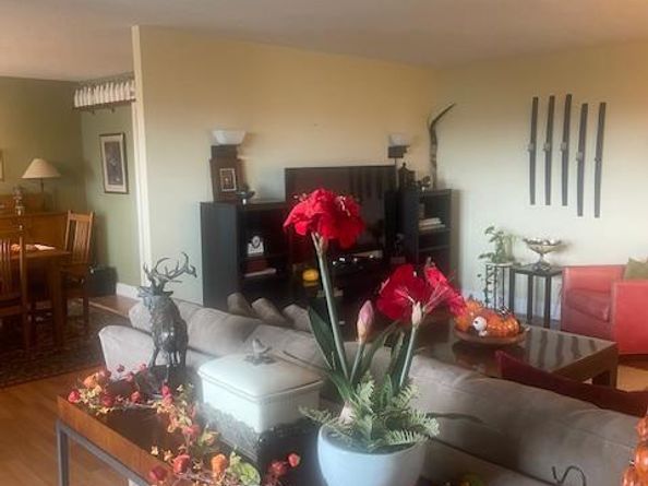 203 Yoakum Parkway 1512, Alexandria VA 22304