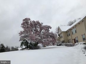 11061 Tottenham Lane, Reston VA 20194