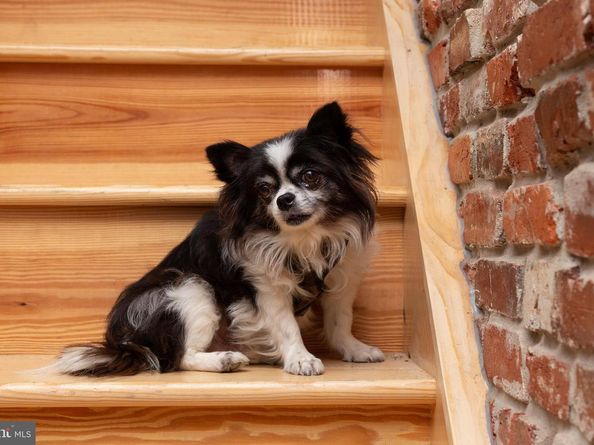 728 S Ithan Street, Philadelphia PA 19143