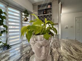 131 Casmar Street SE, Vienna VA 22180