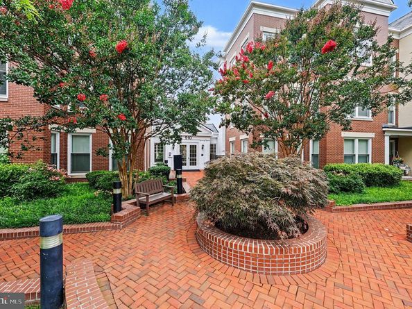 910 Powhatan Street 303S, Alexandria VA 22314