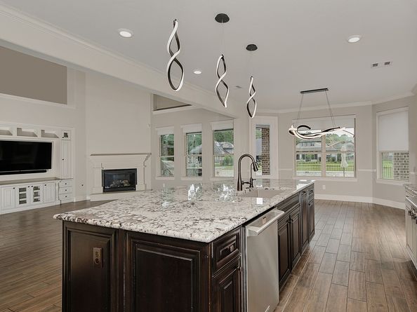 31338 Shadow Branch Lane, Spring TX 77386